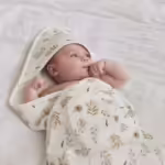 fc2005b263dc2dc59a6a7743947da908a4fda21a_JolleinSS22_23_II_0288